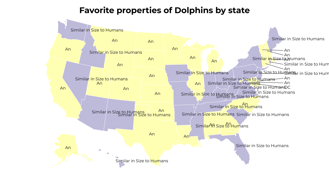properties of Dolphins map