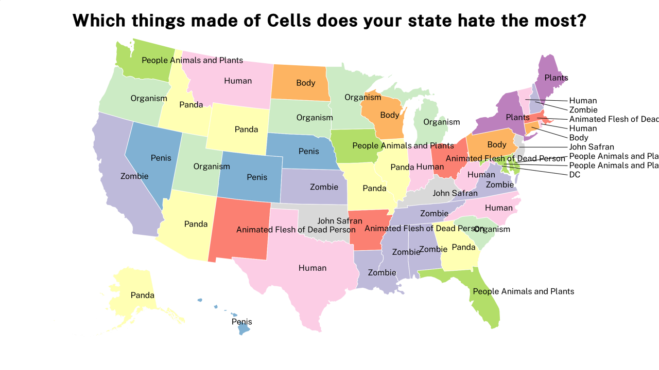things made of Cells map