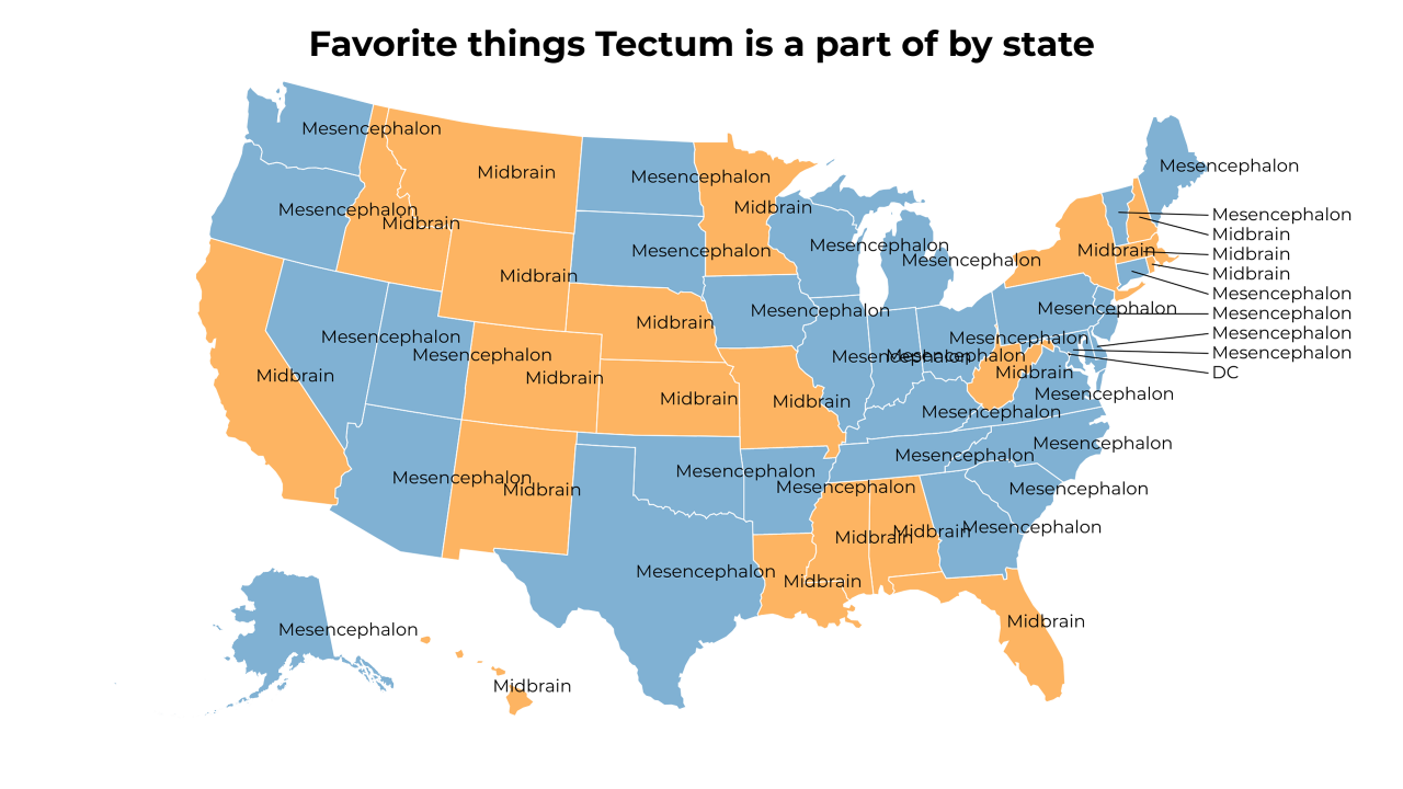 things Tectum is a part of map
