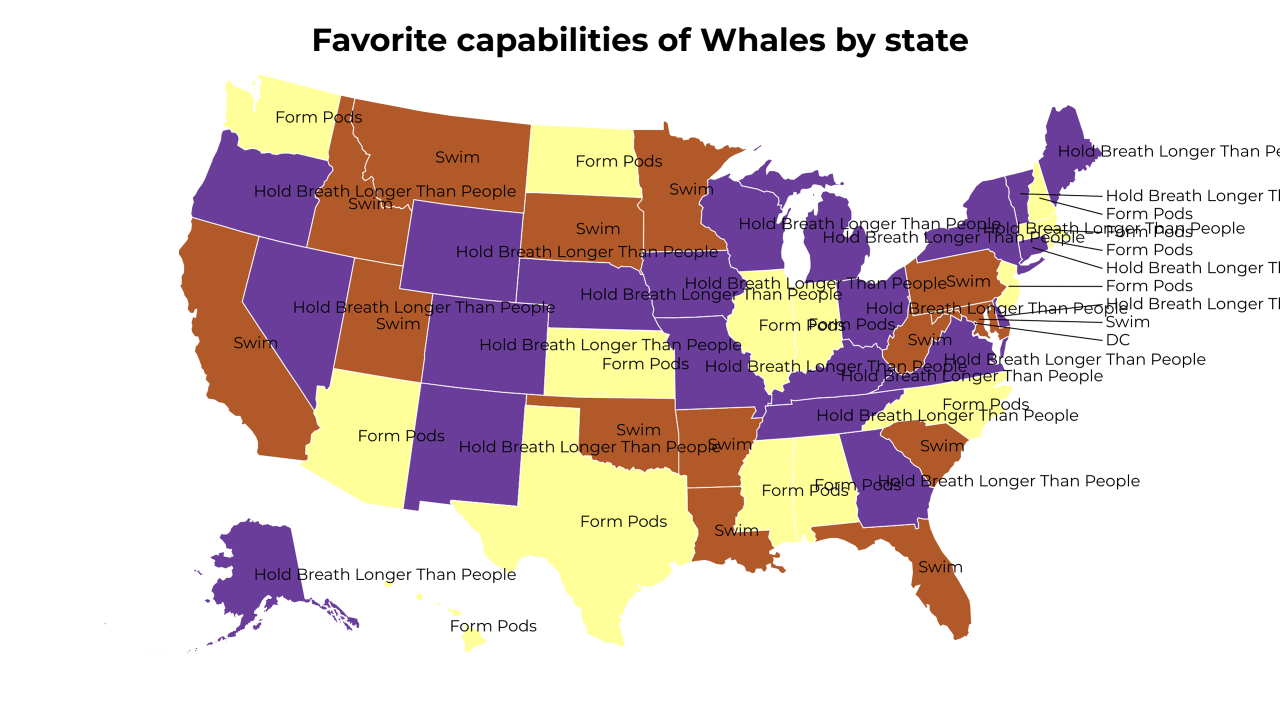 capabilities of Whales map