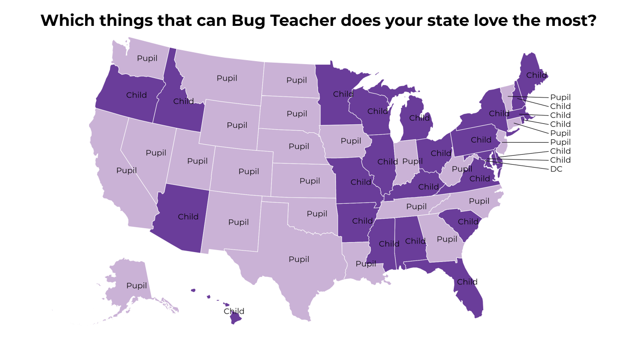 things that can Bug Teacher map