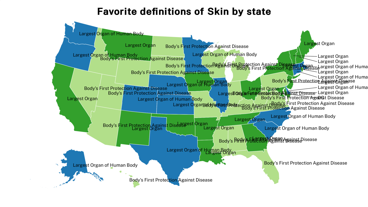 definitions of Skin map