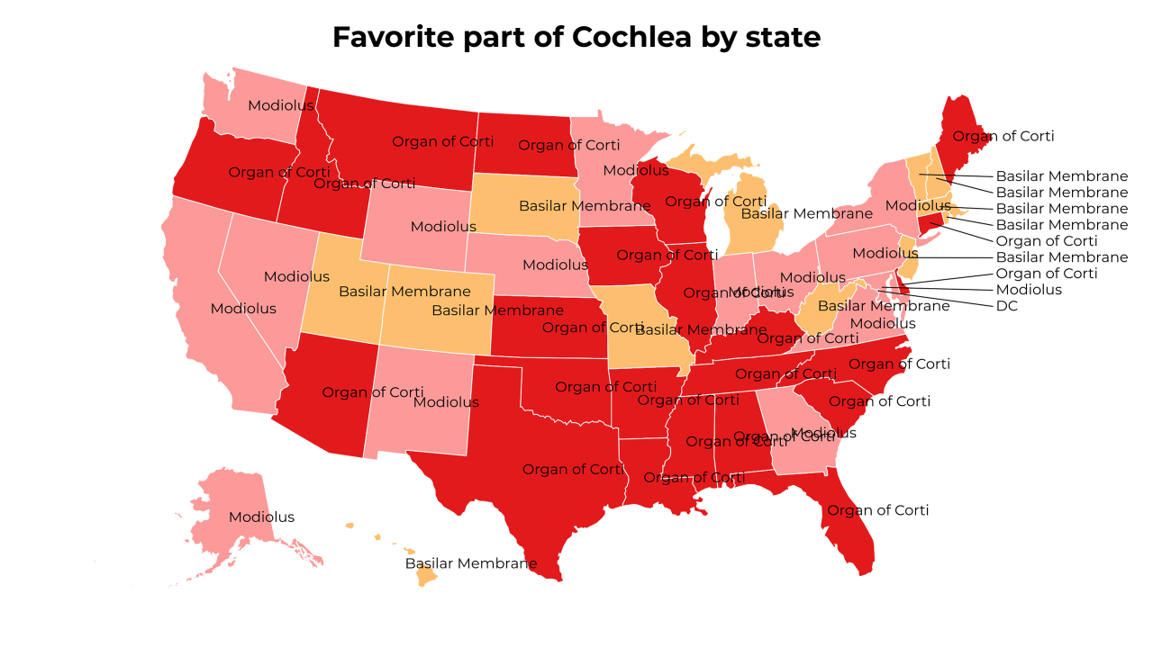 part of Cochlea map