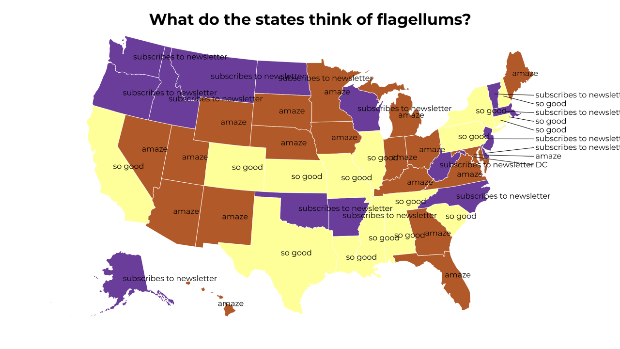 flagellum map
