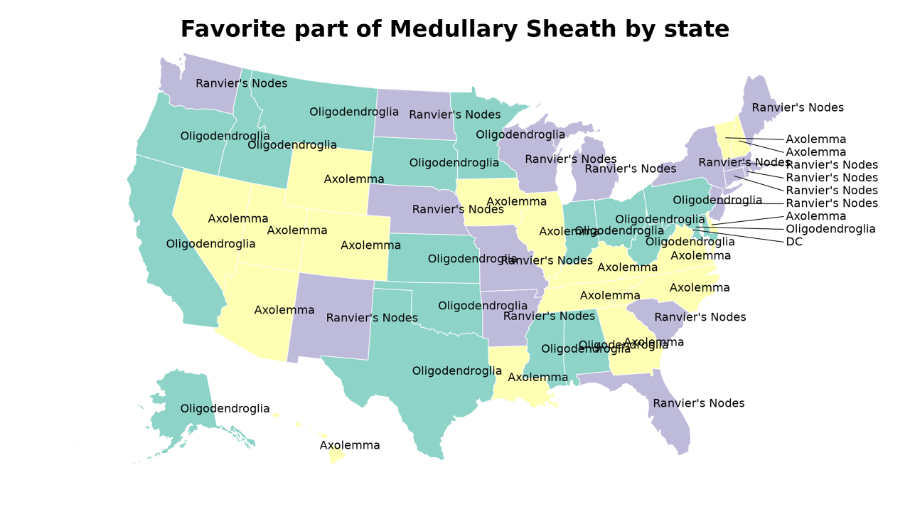 part of Medullary Sheath map