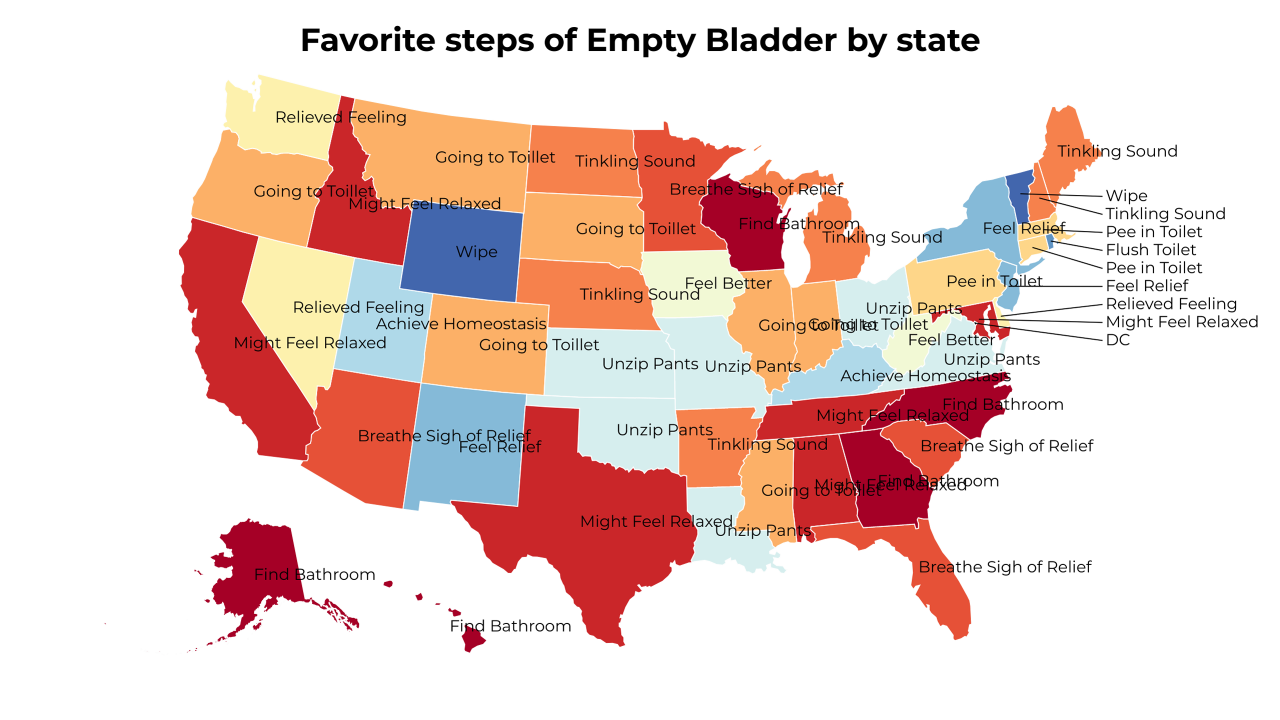 steps of Empty Bladder map