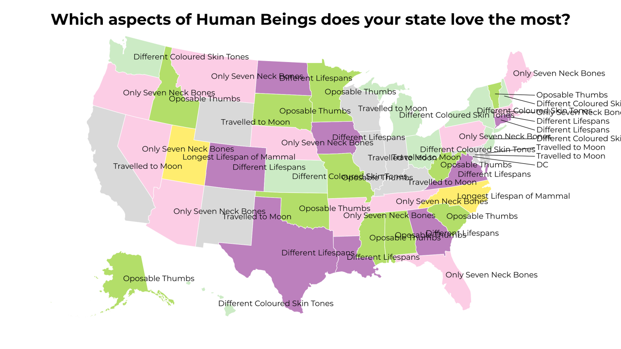 aspects of Human Beings map