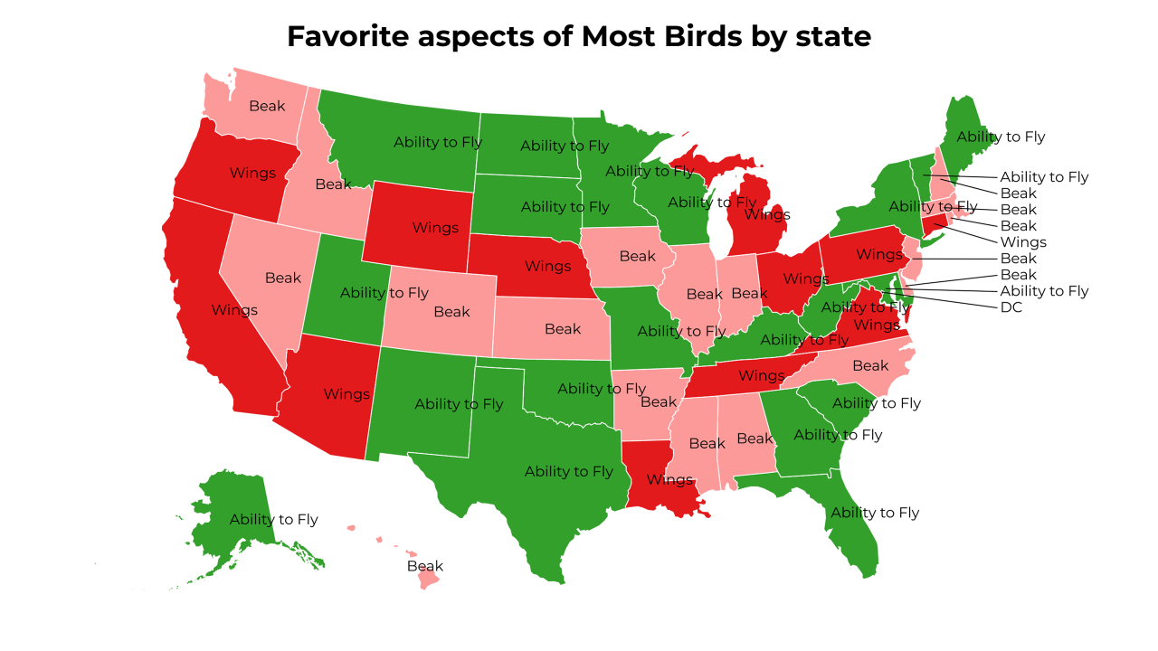aspects of Most Birds map