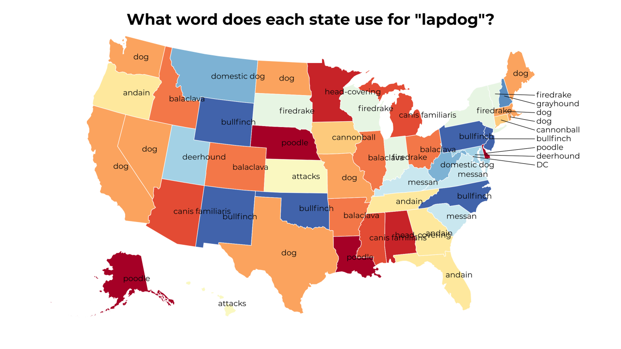 lapdog map