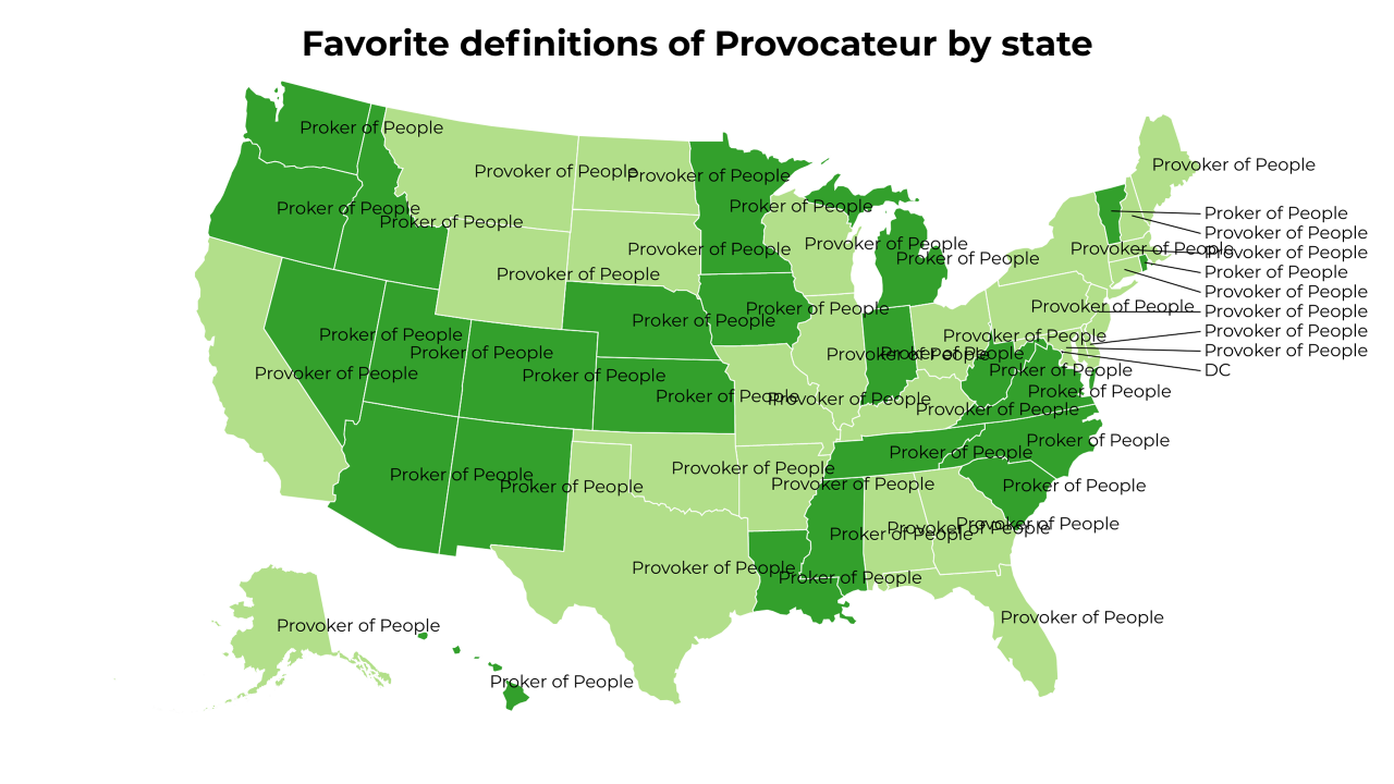 definitions of Provocateur map