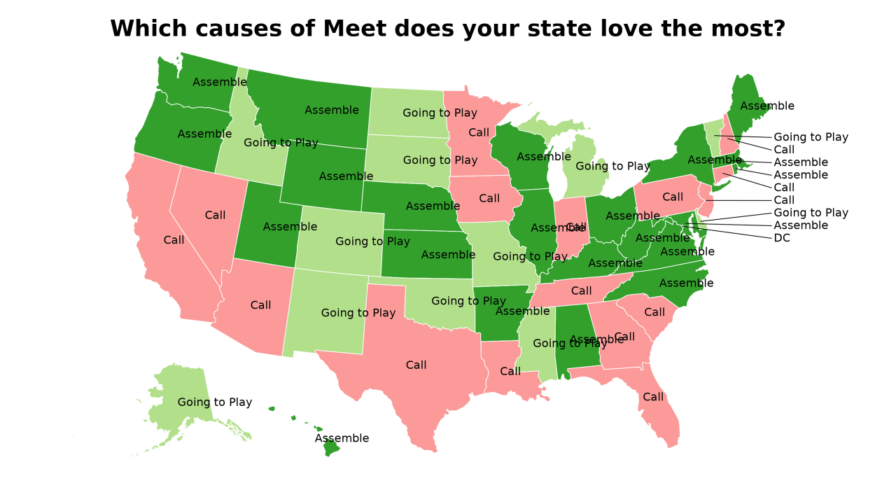 causes of Meet map