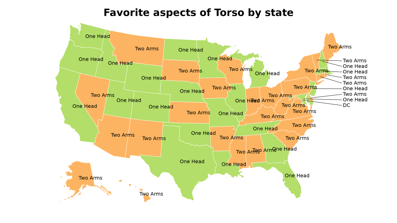 aspects of Torso map