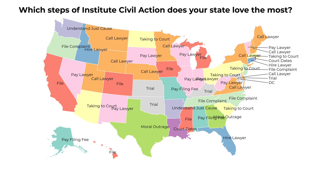 steps of Institute Civil Action map