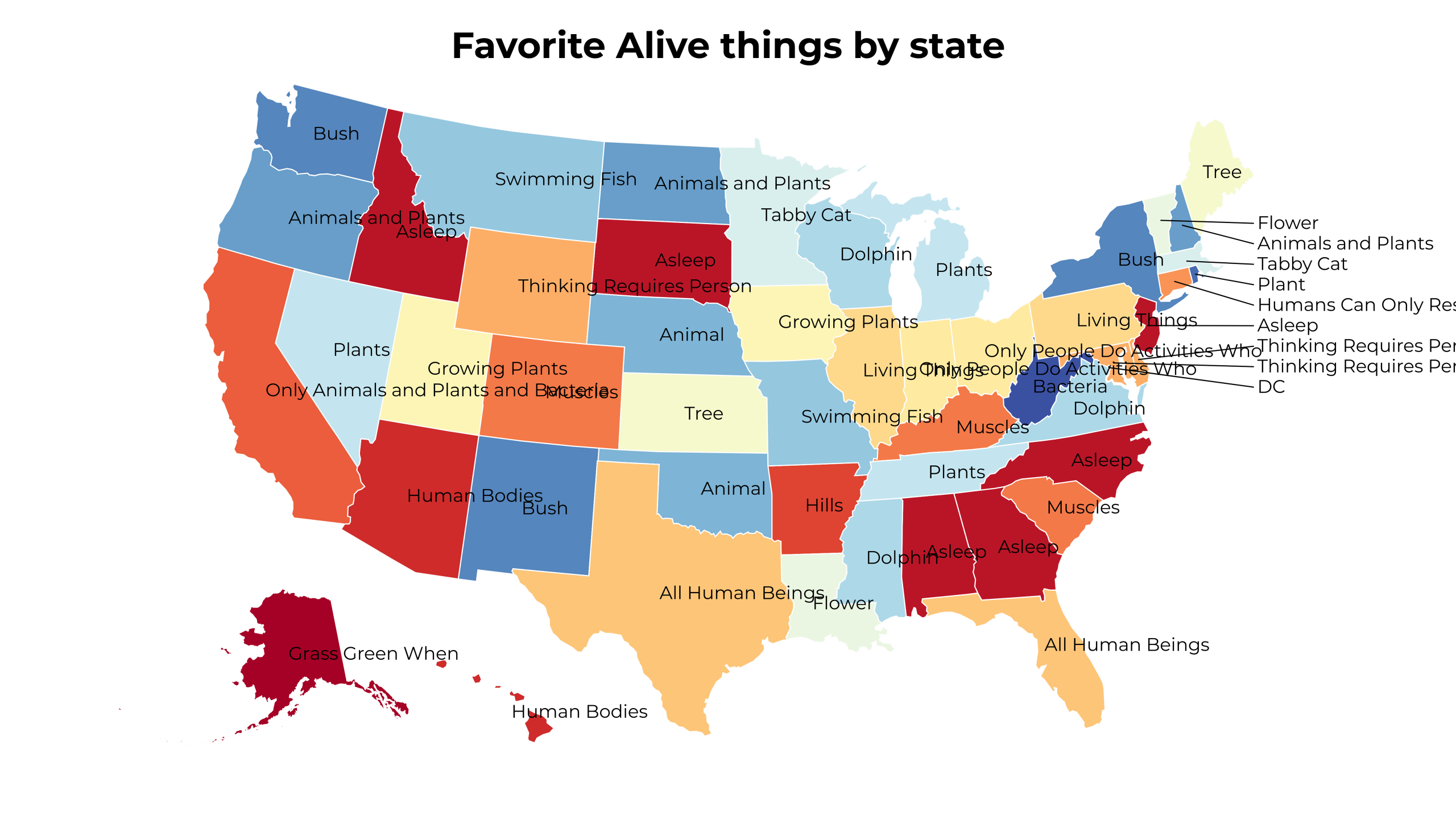 Alive things map