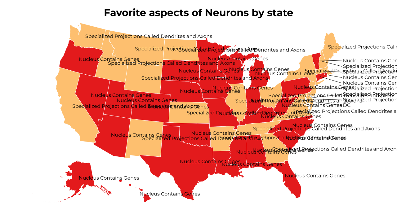 aspects of Neurons map