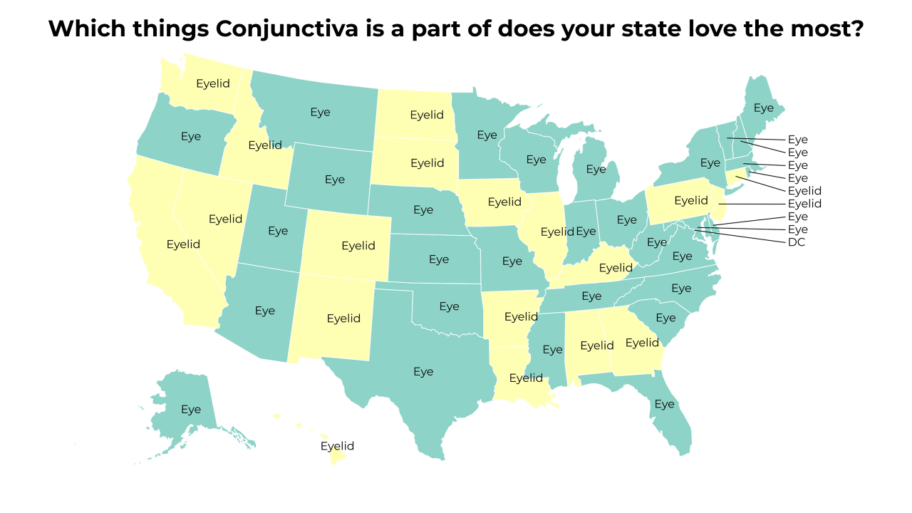 things Conjunctiva is a part of map