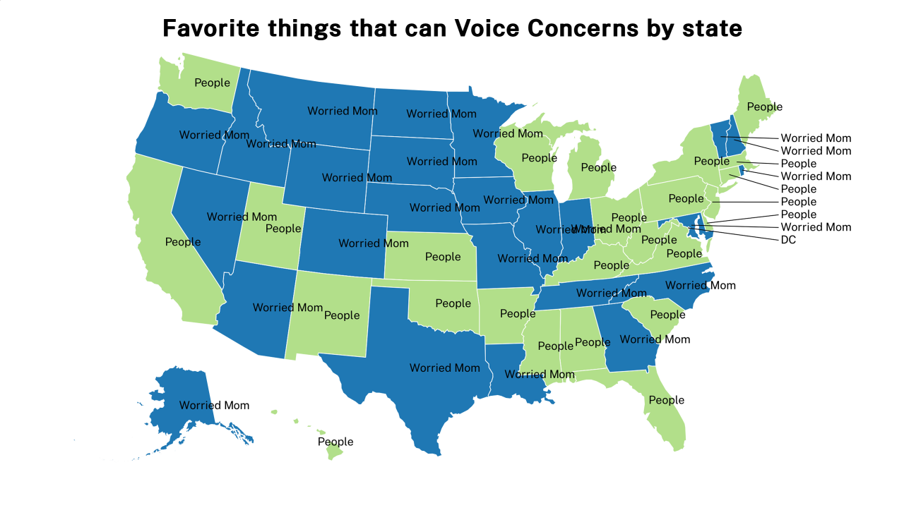 things that can Voice Concerns map