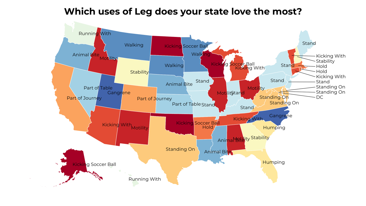 uses of Leg map