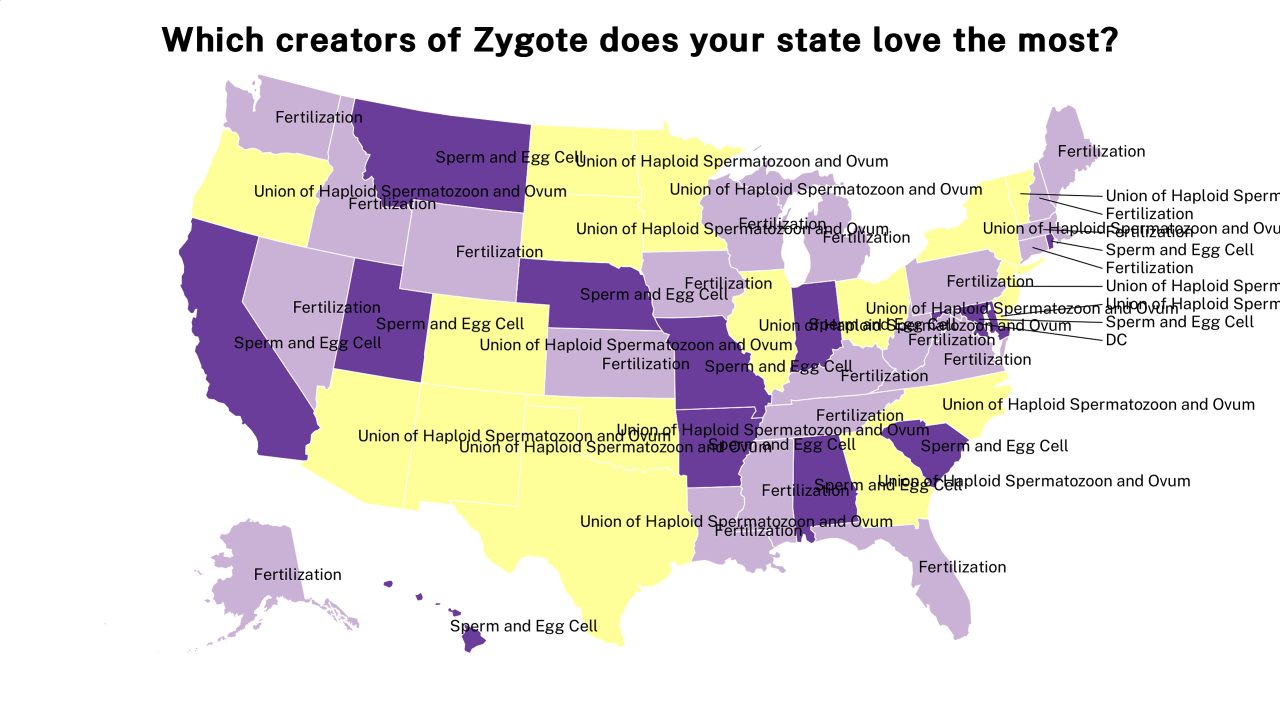 creators of Zygote map