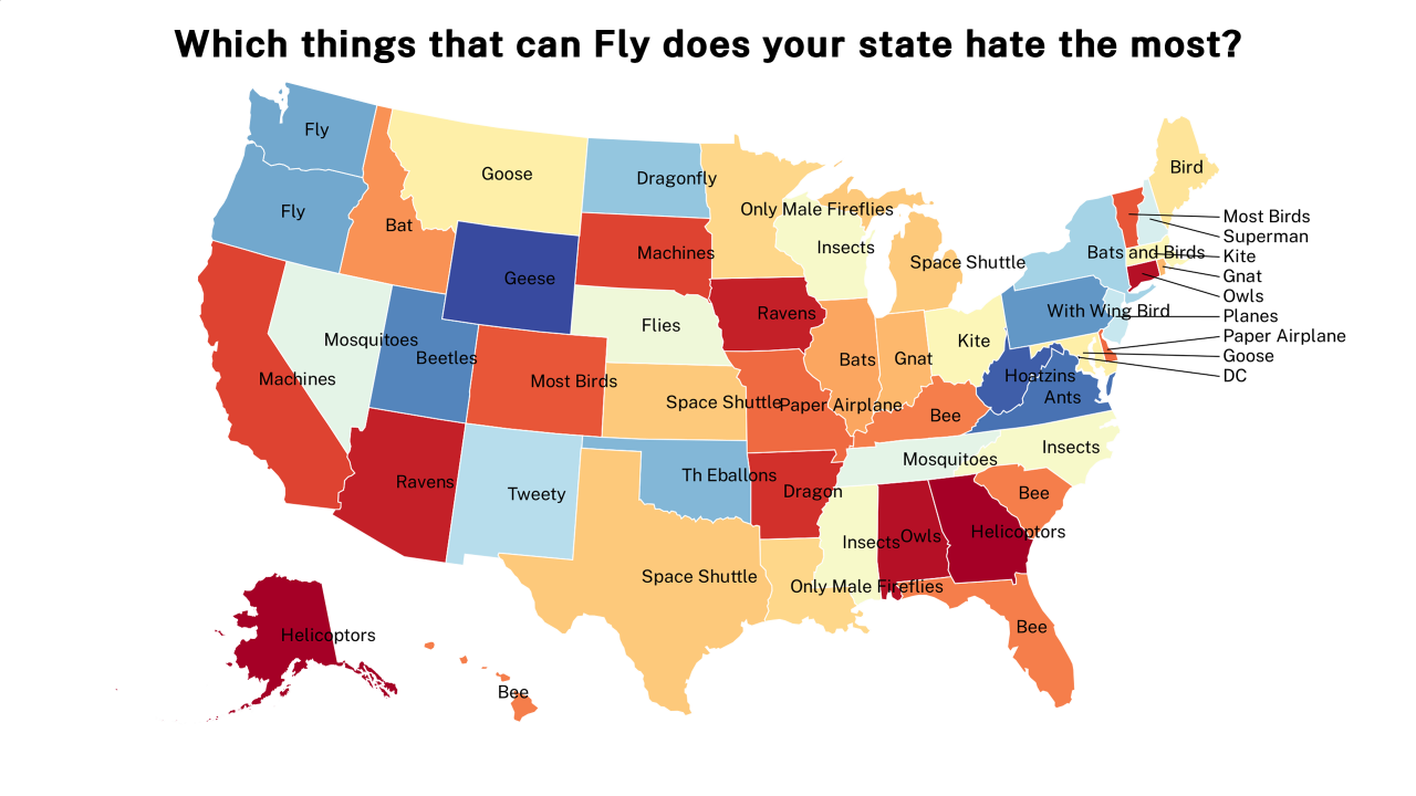 things that can Fly map