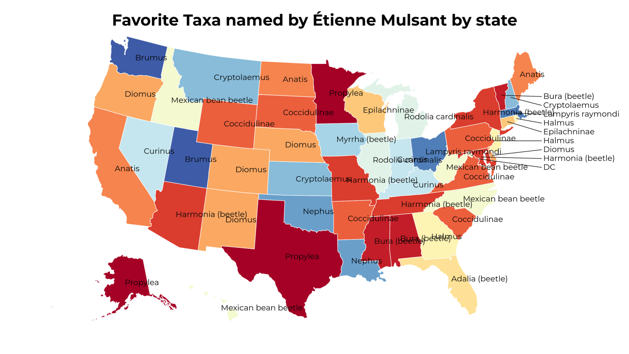 Taxa named by Étienne Mulsant map