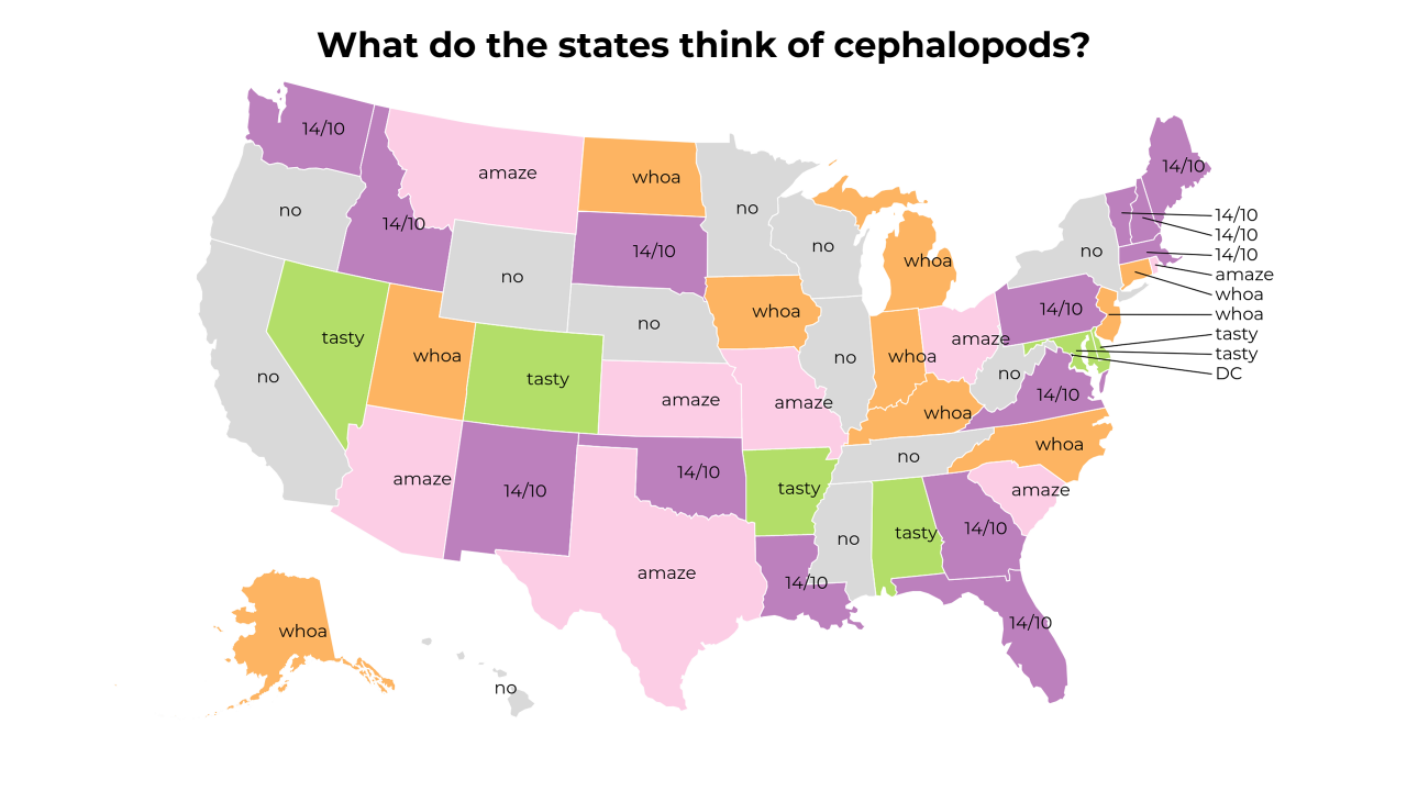 cephalopods map