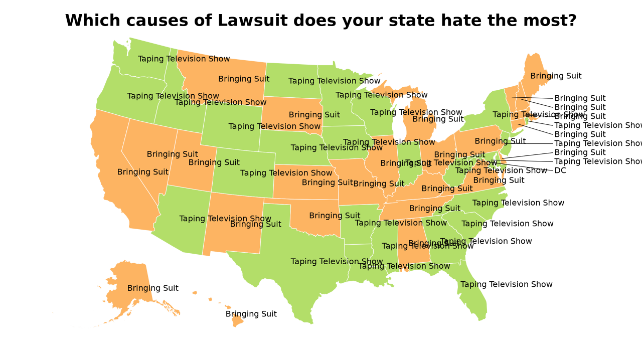 causes of Lawsuit map