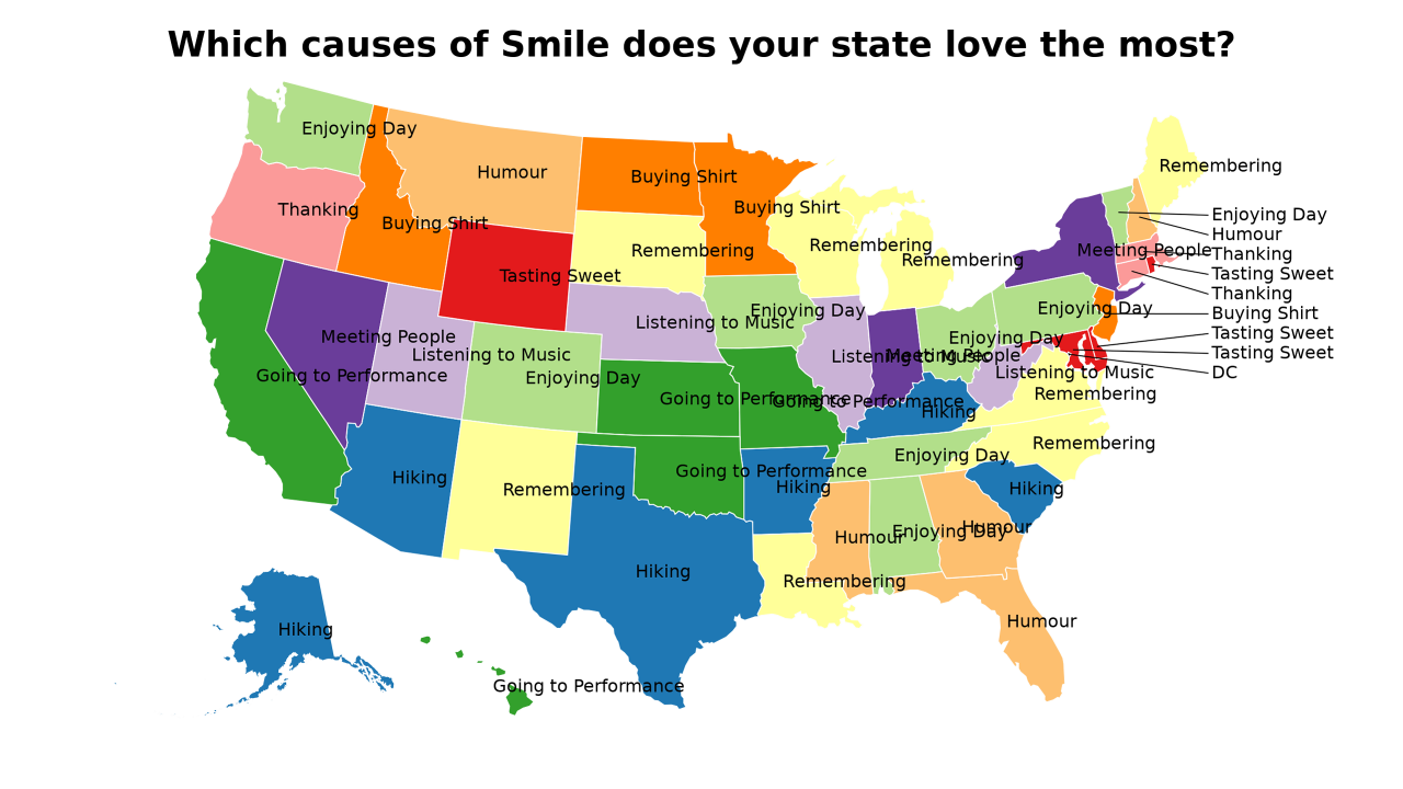 causes of Smile map