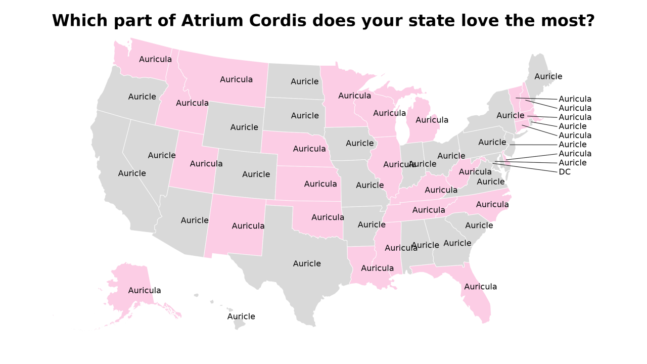 part of Atrium Cordis map