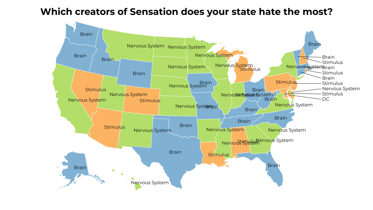 creators of Sensation map