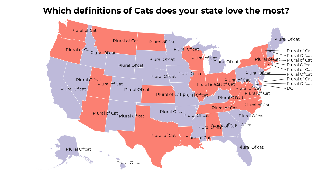 definitions of Cats map