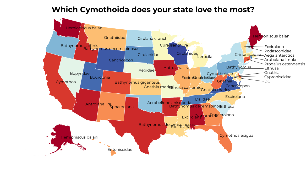 Cymothoida map