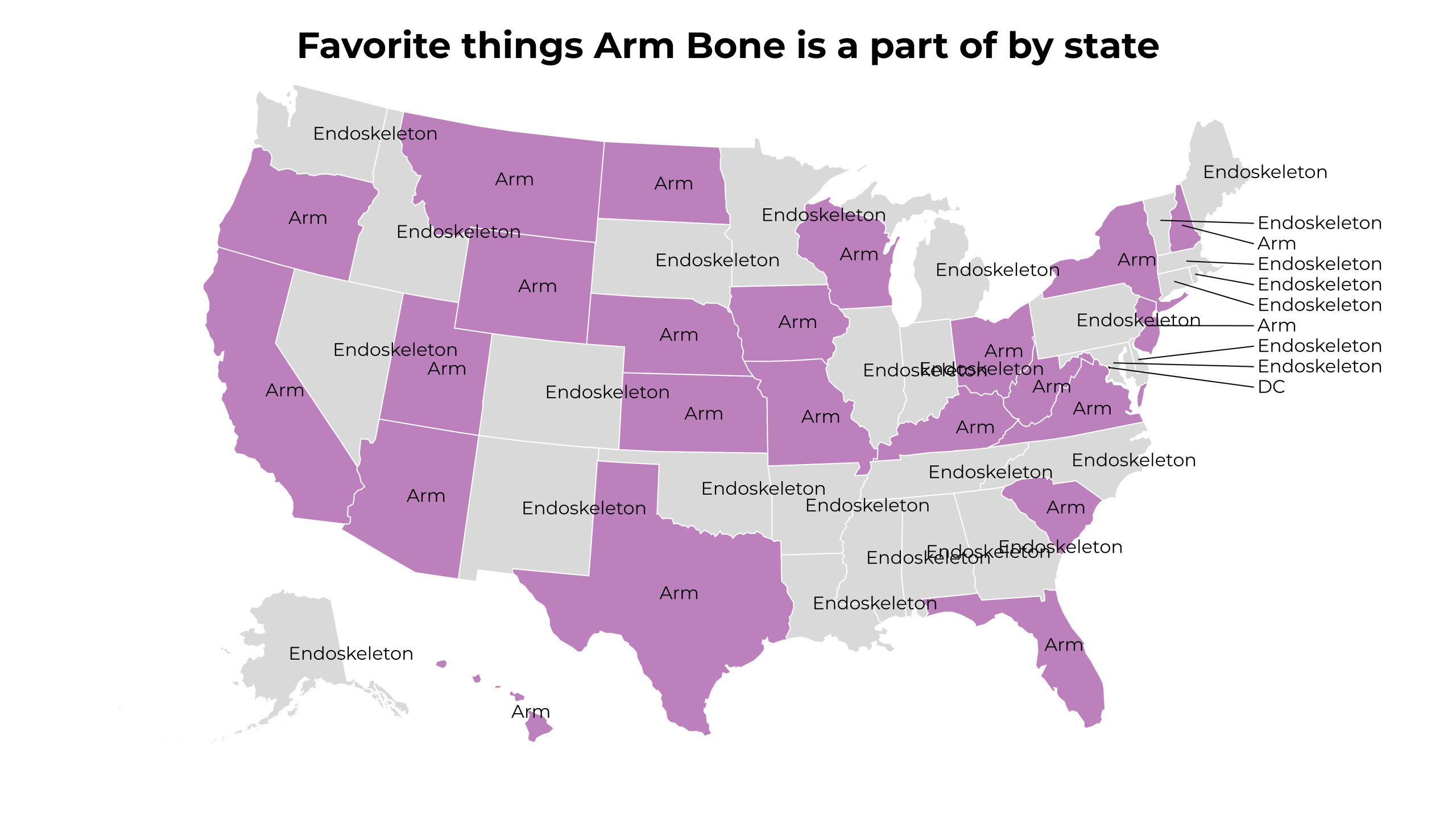 things Arm Bone is a part of map