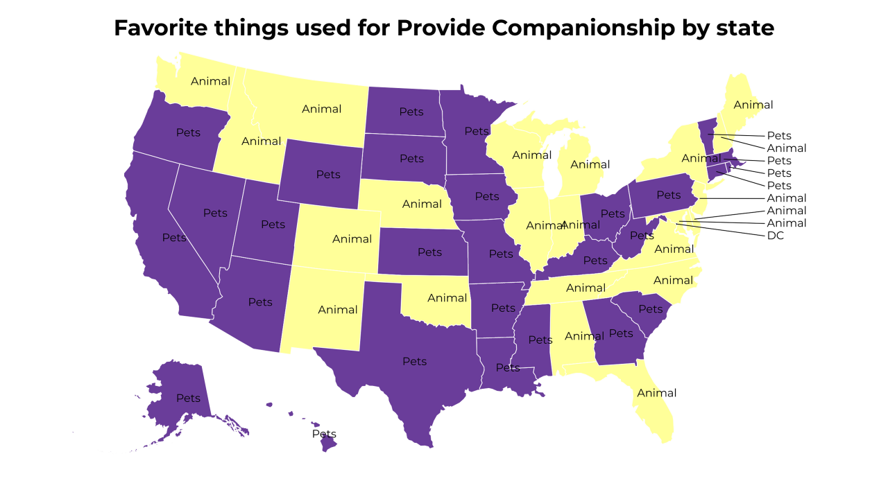 things used for Provide Companionship map