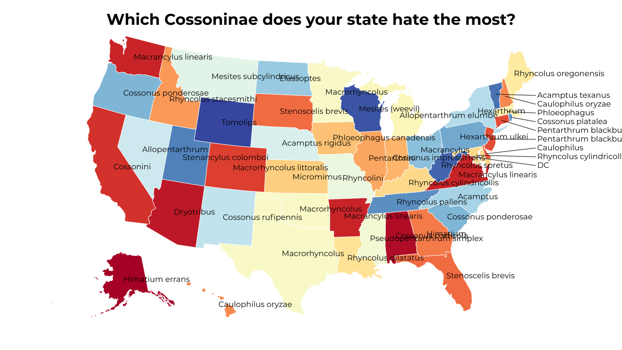 Cossoninae map