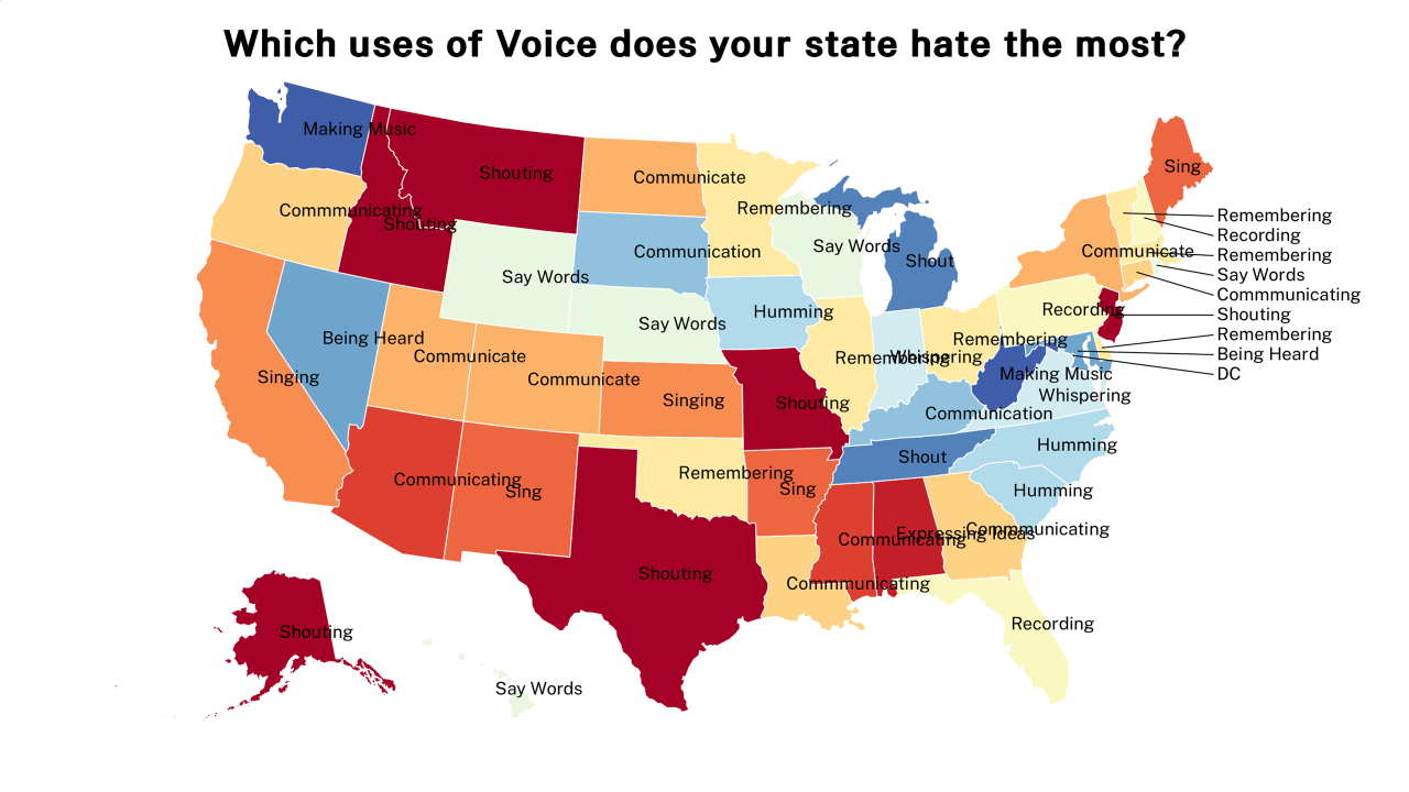 uses of Voice map