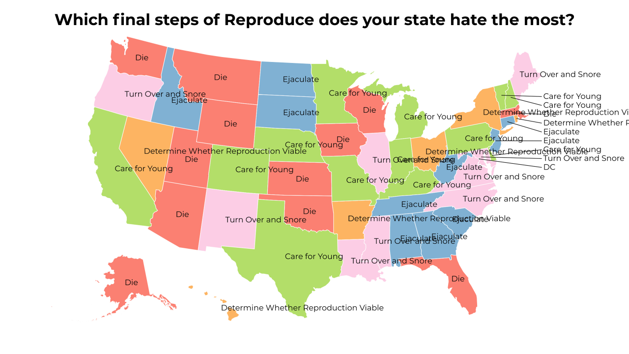 final steps of Reproduce map