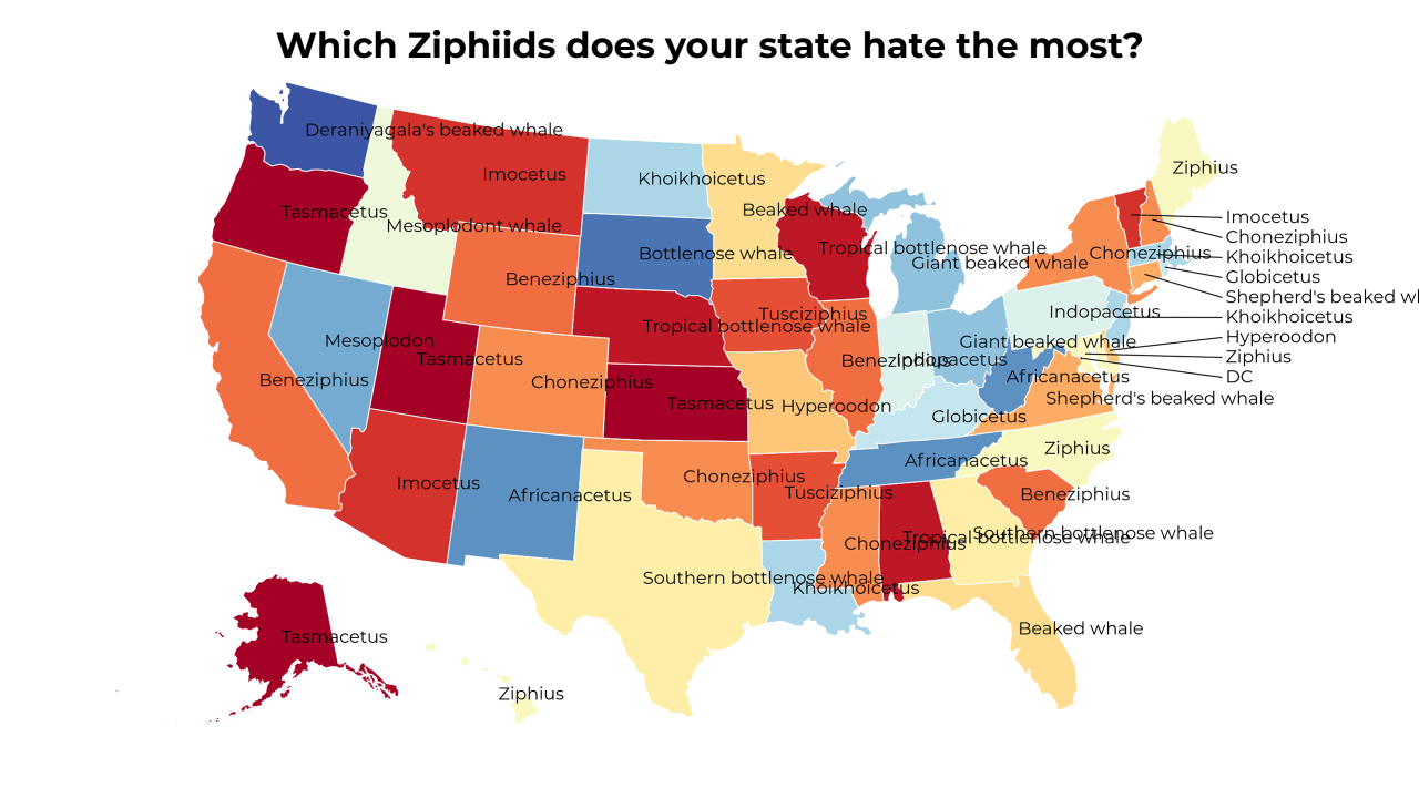 Ziphiids map