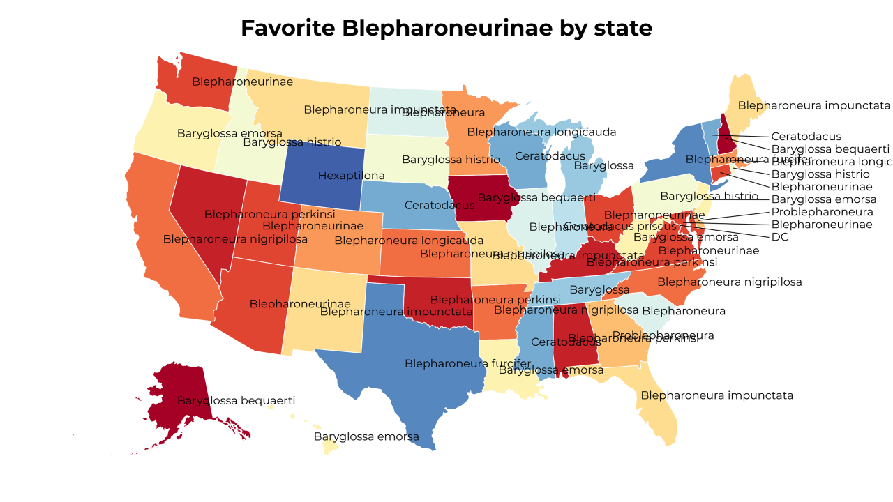 Blepharoneurinae map