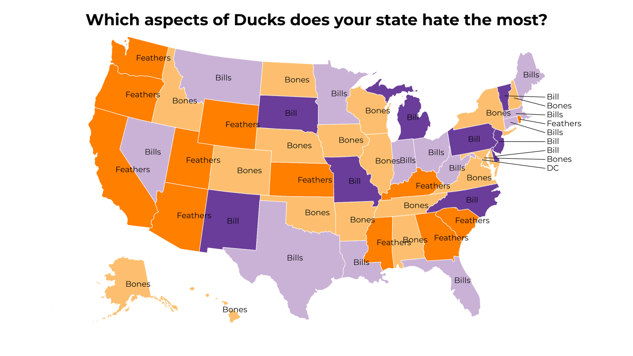aspects of Ducks map
