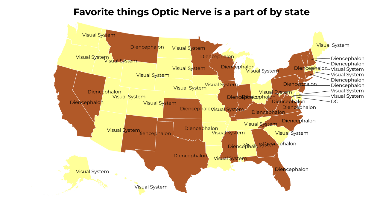 things Optic Nerve is a part of map