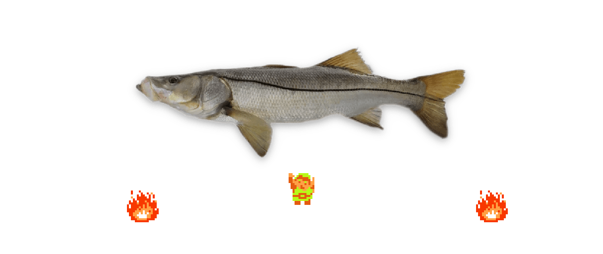 ♫ DOO DOO DOO DOO! ♪ (snook)