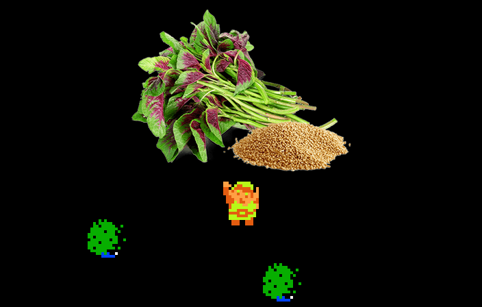 ♫ DOO DOO DOO DOO! ♩ (Amaranthus)