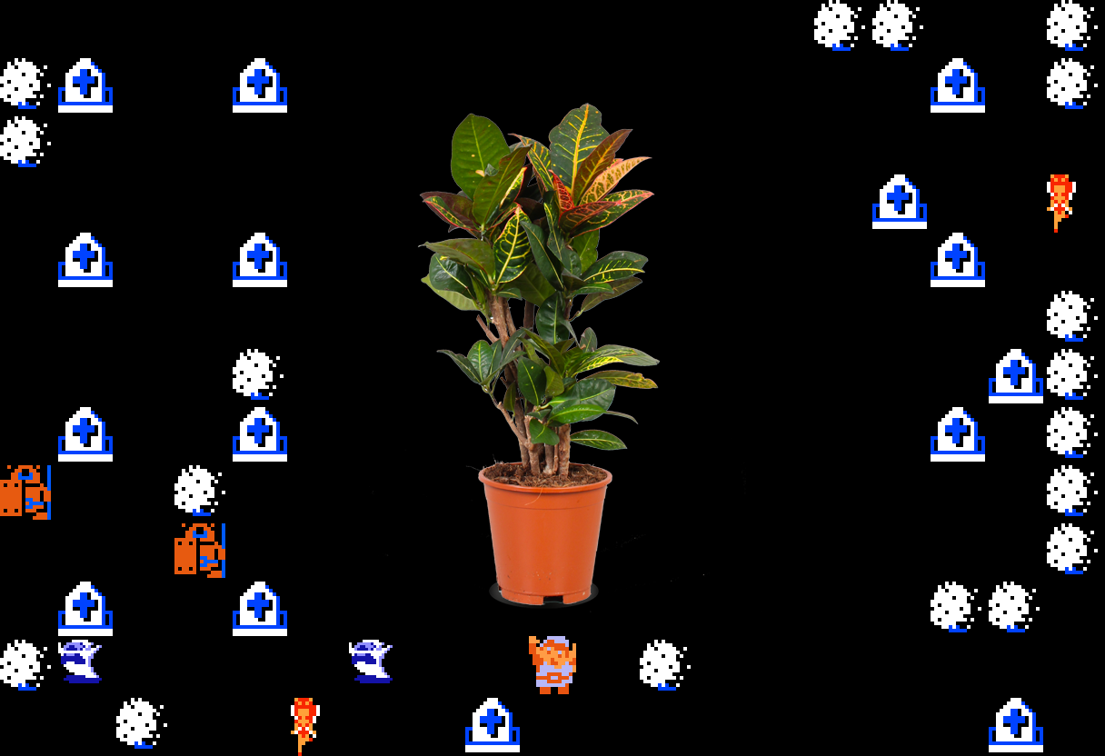 ♬ DOO DOO DOO DOO! ♪ (Croton)