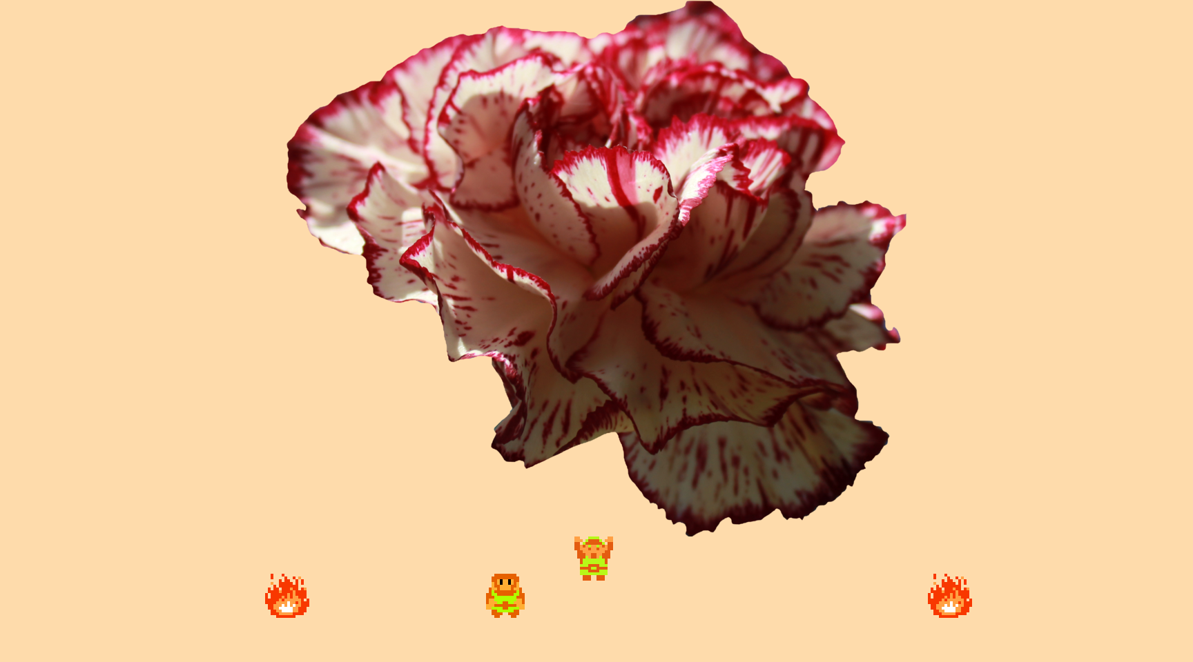 ♬ DOO DOO DOO DOO! ♪ (Dianthus)