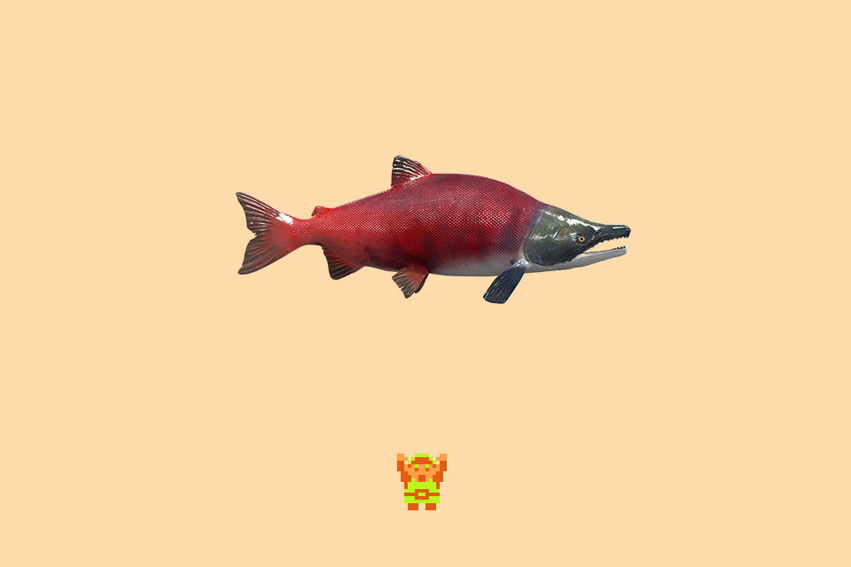 ♪ DOO DOO DOO DOO! ♪ (Dolly Varden)