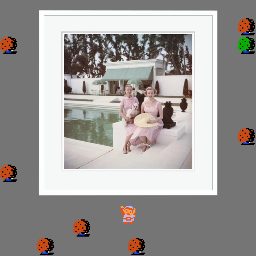 ♫ DOO DOO DOO DOO! 𝄑 (socialites)