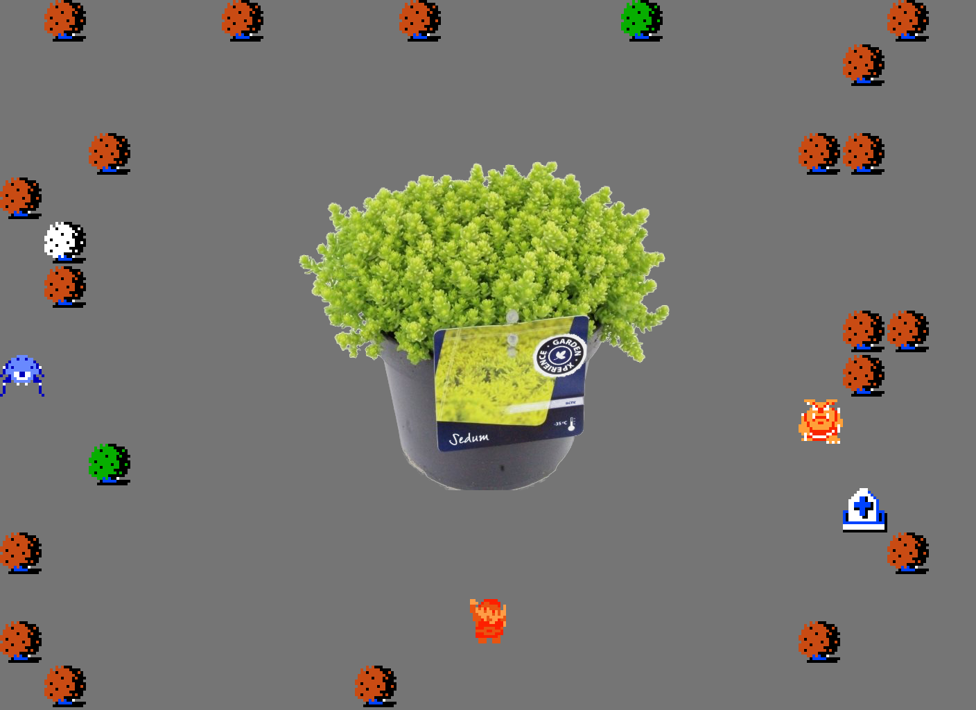 𝄢 DOO DOO DOO DOO! ♩ (sedum)