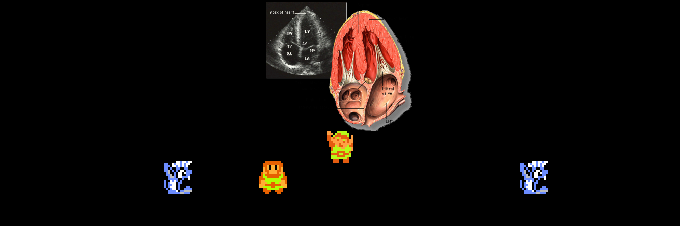 ♪ DOO DOO DOO DOO! ♩ (tricuspid)