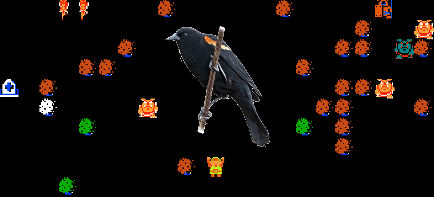 ♪ DOO DOO DOO DOO! ♪ (feathers)